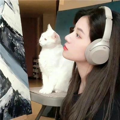 维琴河第六季封面